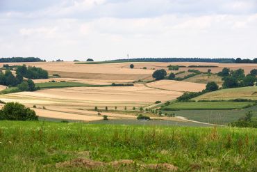 Fotografie - Felder im Sommer