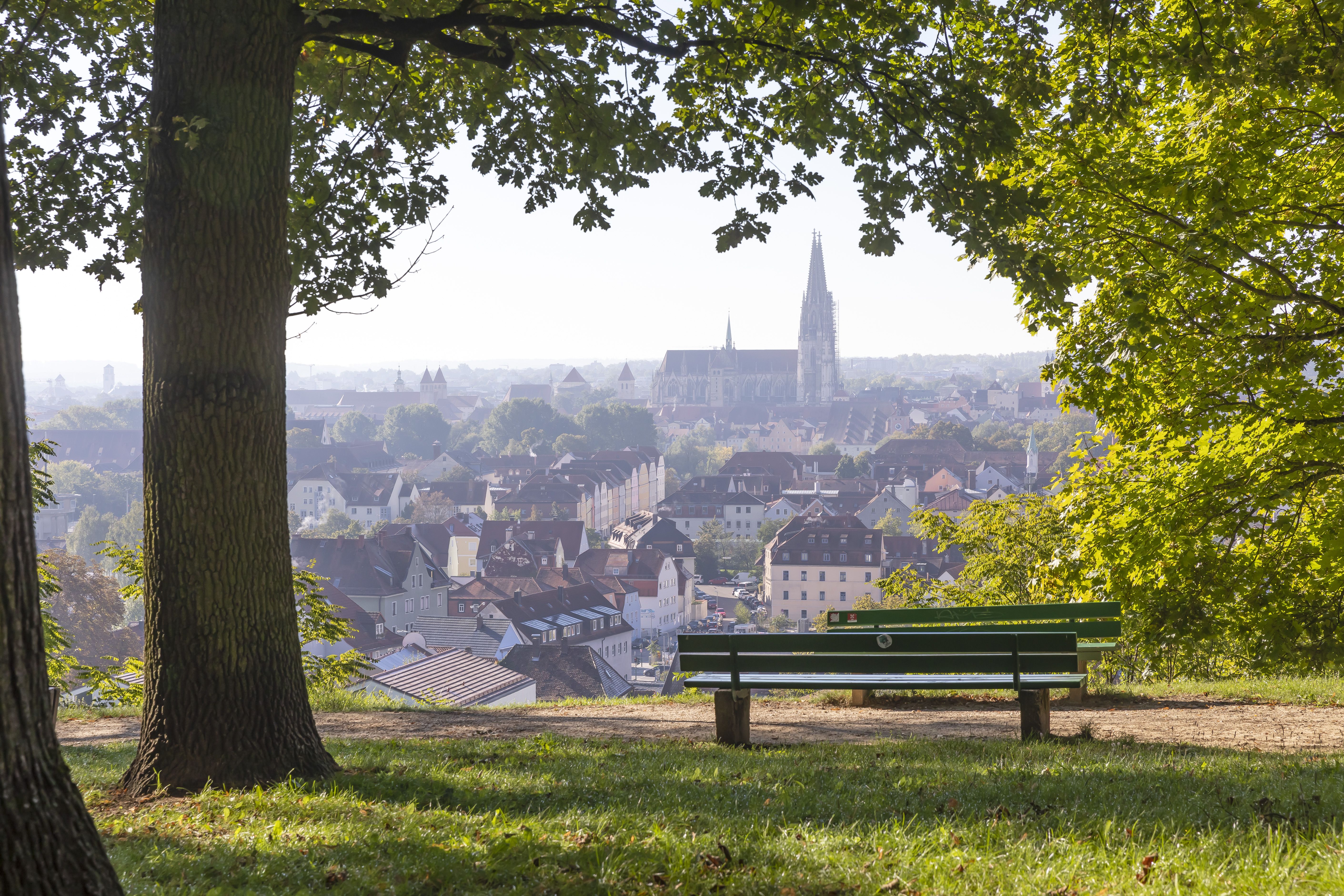 Fotografie: Blick vom Dreifaltigkeitsberg auf die Regensburger Altstadt