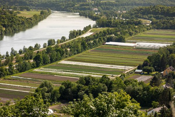 Fotografie - Blick auf Gemüseanbauflächen und Donau