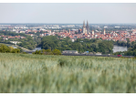 Fotografie - Blick Richtung Altstadt (C) Bilddokumentation Stadt Regensburg