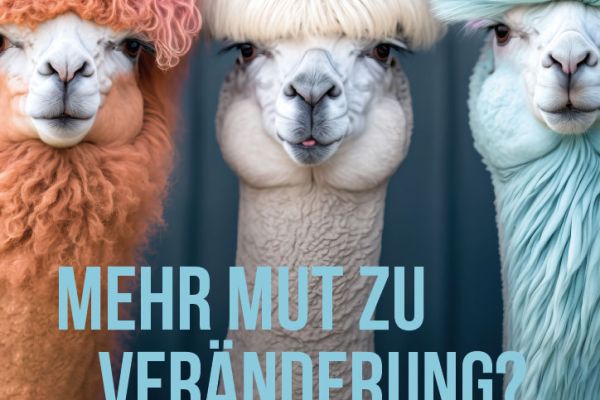 Bunte Lamas auf dem Plaket für die Jugendbefragung 2024