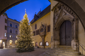 Fotografie: Beleuchteter Christbaum vor dem Alten Rathaus