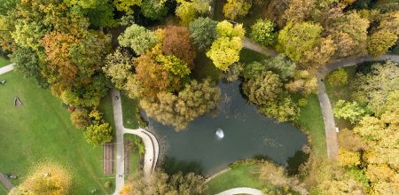 Themenbild Umwelt - Luftaufnahme des Stadtparks - kleiner Teich in der Mitte des Bildes umrahmt von Bäumen mit buntem Laub