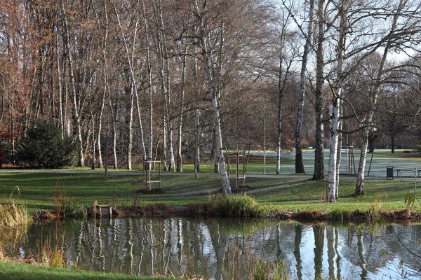 Fotografie: Teichanlage und Birkenwäldchen im Stadtpark