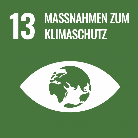 Nachhaltigkeit - Ziel 13 - Maßnahmen zum Klimaschutz (C) United Nations Department of Public Information