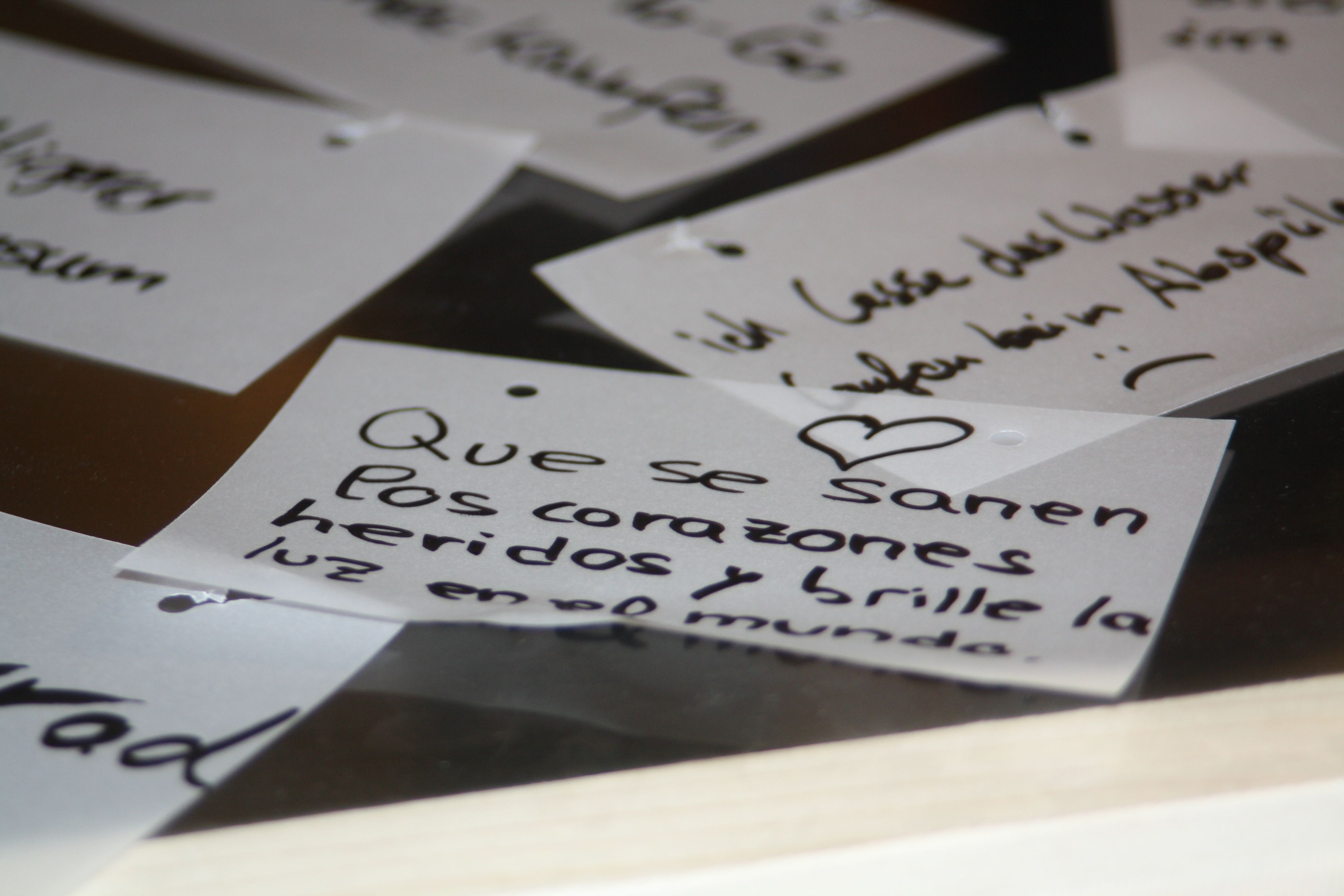 Ausstellung_BZW_FokusSteinstadt_Daniel66
