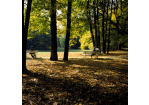 Leben in Regensburg Doernbergpark © Stadt Regensburg Peter Ferstl