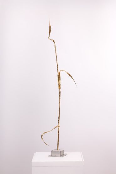 Fotografie – Kunstwerk, vergoldeter Strohhalm