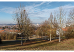 Fotografie - Blick nach Regensburg (C) Bilddokumentation Stadt Regensburg
