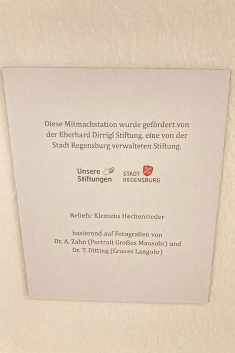 Fotografie -Urkunde Förderwidmung