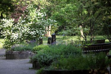 Fotografie - Brunnen im Park