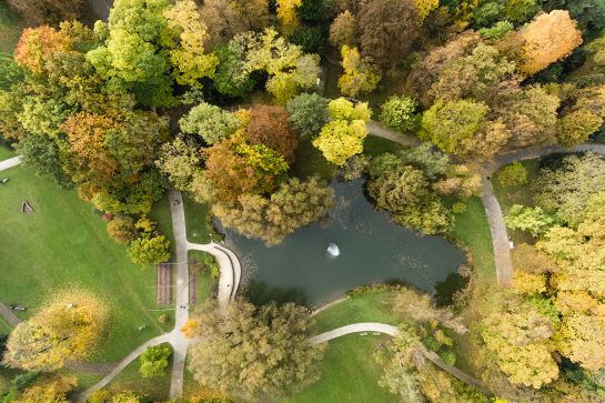 Fotografie - Vogelperspektive (C) Bilddokumentation Stadt Regensburg