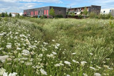 Fotografie - Architekturpreis 2024, Aubachpark nordwestlicher Teil Burgweinting - Preis