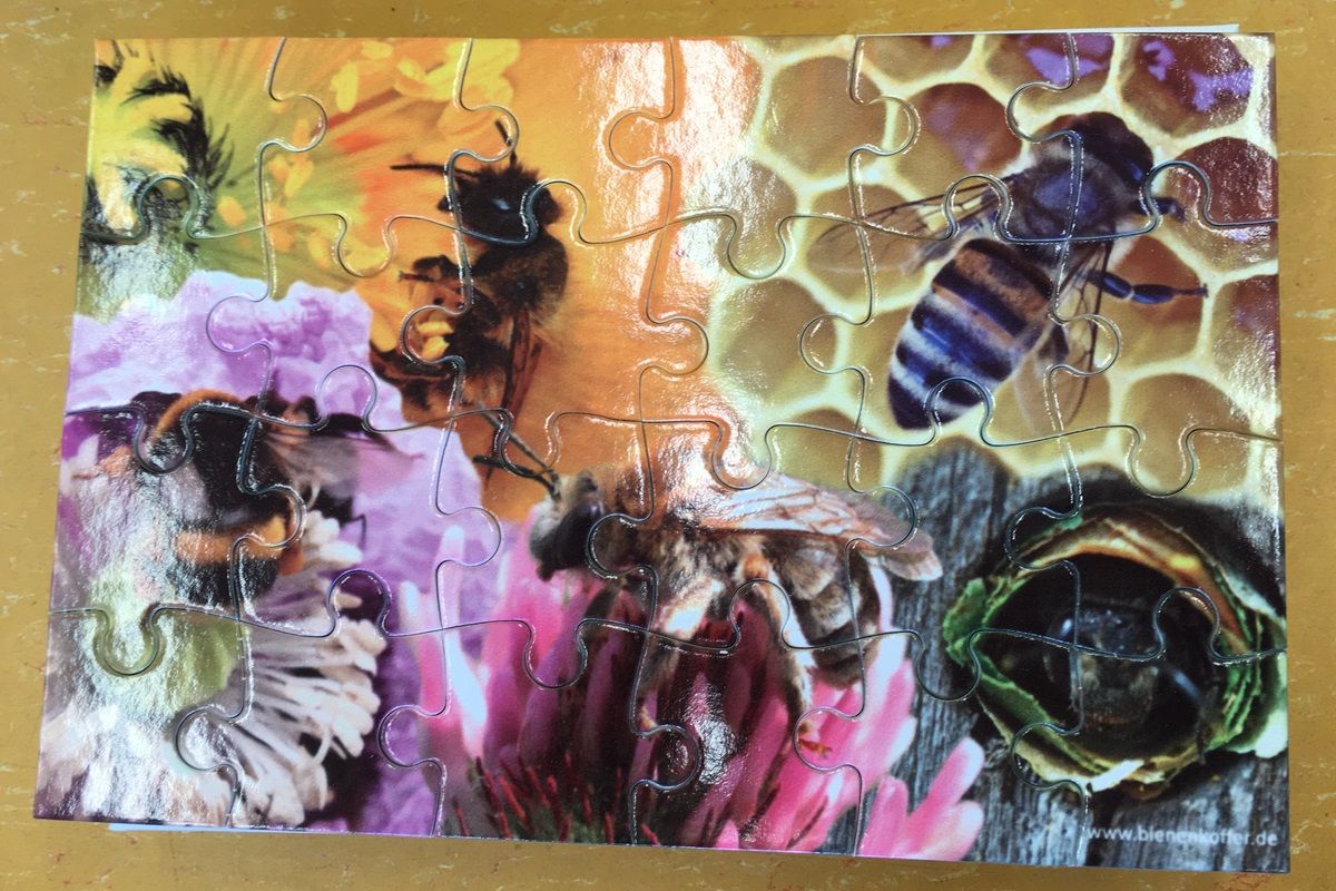 Vorschaubild Bienenkoffer