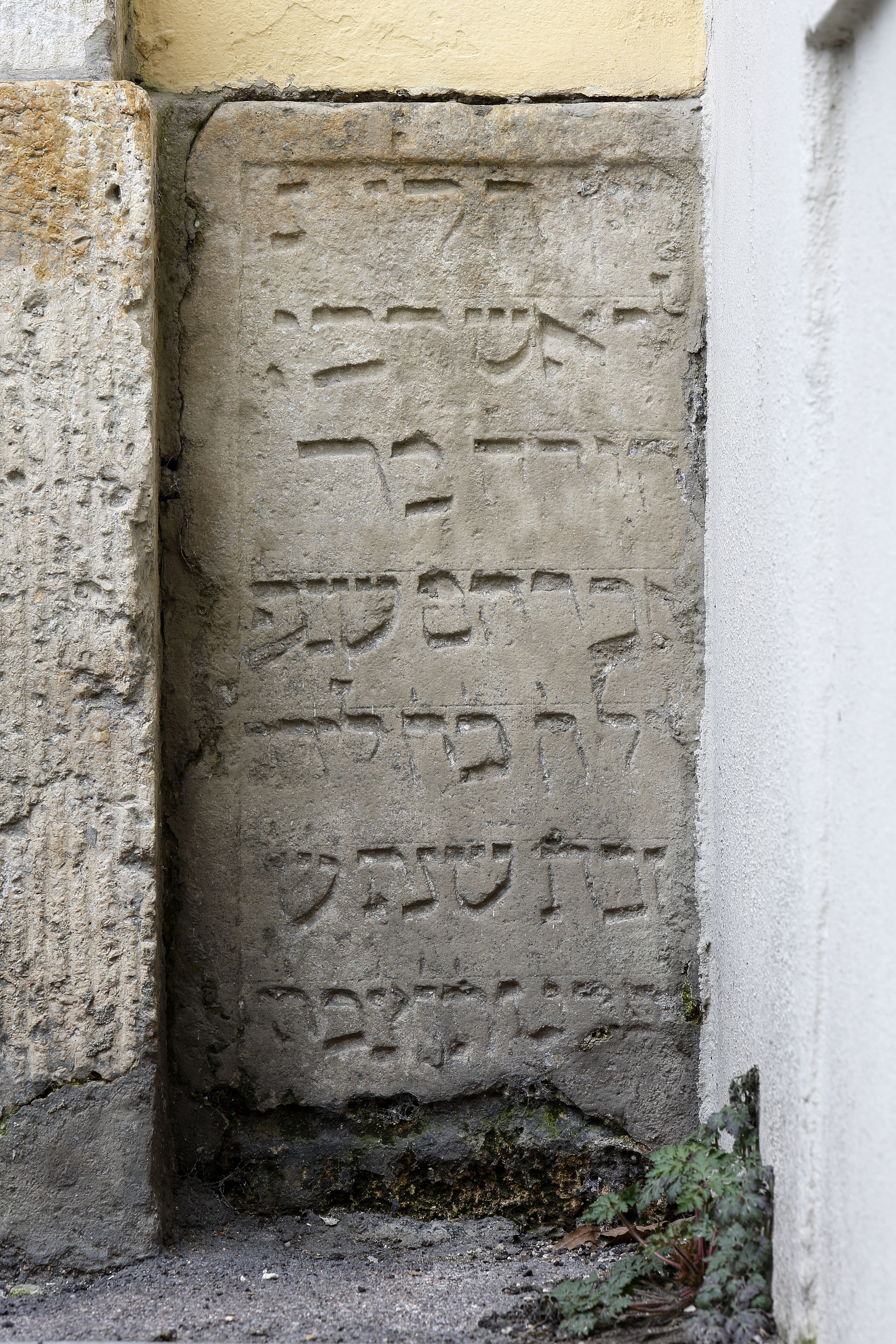 Jüdischer Grabstein10