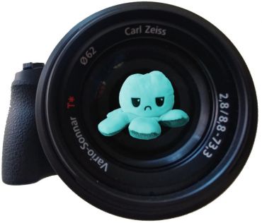 foto