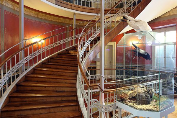 Fotografie - Naturkundemuseum Ostbayern