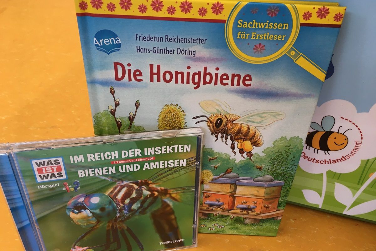 Vorschaubild Bienenkoffer
