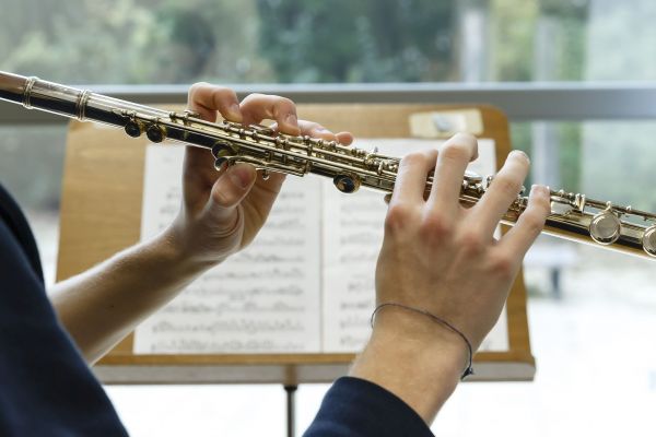 Musischer Zweig