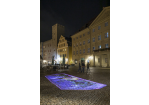 Fotografie - Schmetterlings-Videoinstallation am Haidplatz