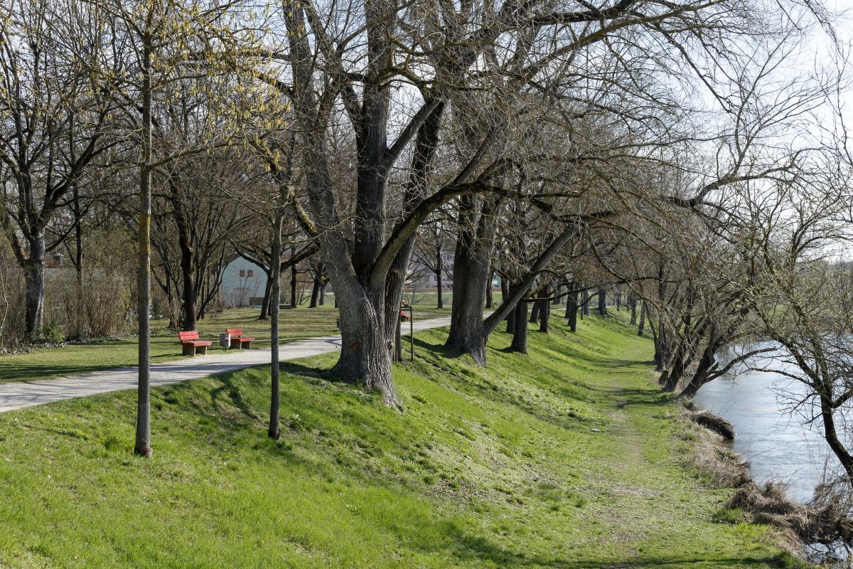 Fotografie - Ufer und Fahrradweg
