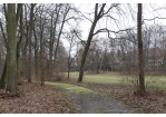 Dörnbergpark 2018 (C) Bilddokumentation Stadt Regensburg