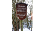 Fotografie - Infotafel Seidenplantage (C) Bilddokumentation Stadt Regensburg