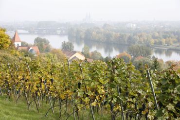 Blick von den Winzerer Höhen auf Regensburg