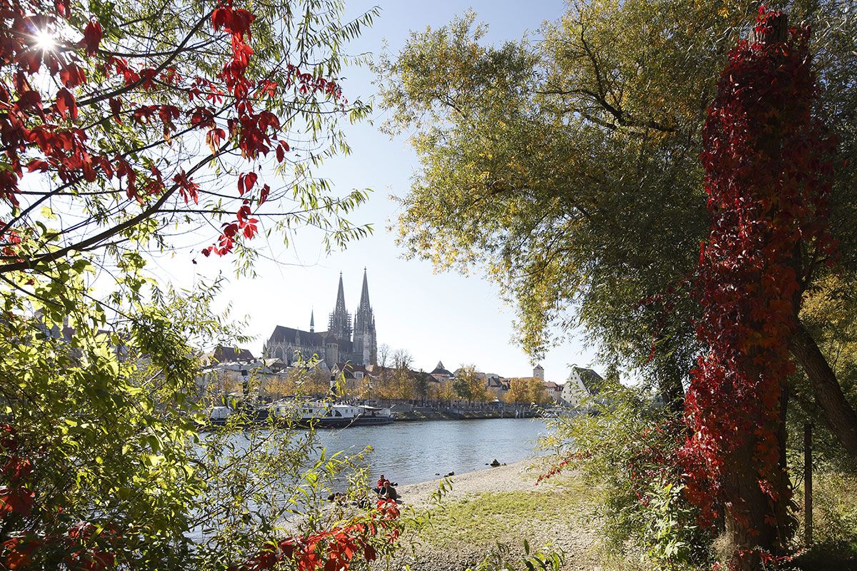 Foto des Monats - Oktober 2018