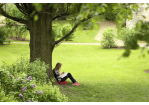 Fotografie: Eine junge Frau sitzt an einem Baum gelehnt im Gras und schreibt etwas auf.