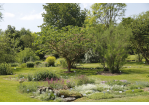 Fotografie - Blick in den Botanischen Garten