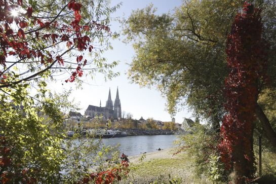 Regensburg - Donau (Er)Leben (C) Stefan Effenhauser