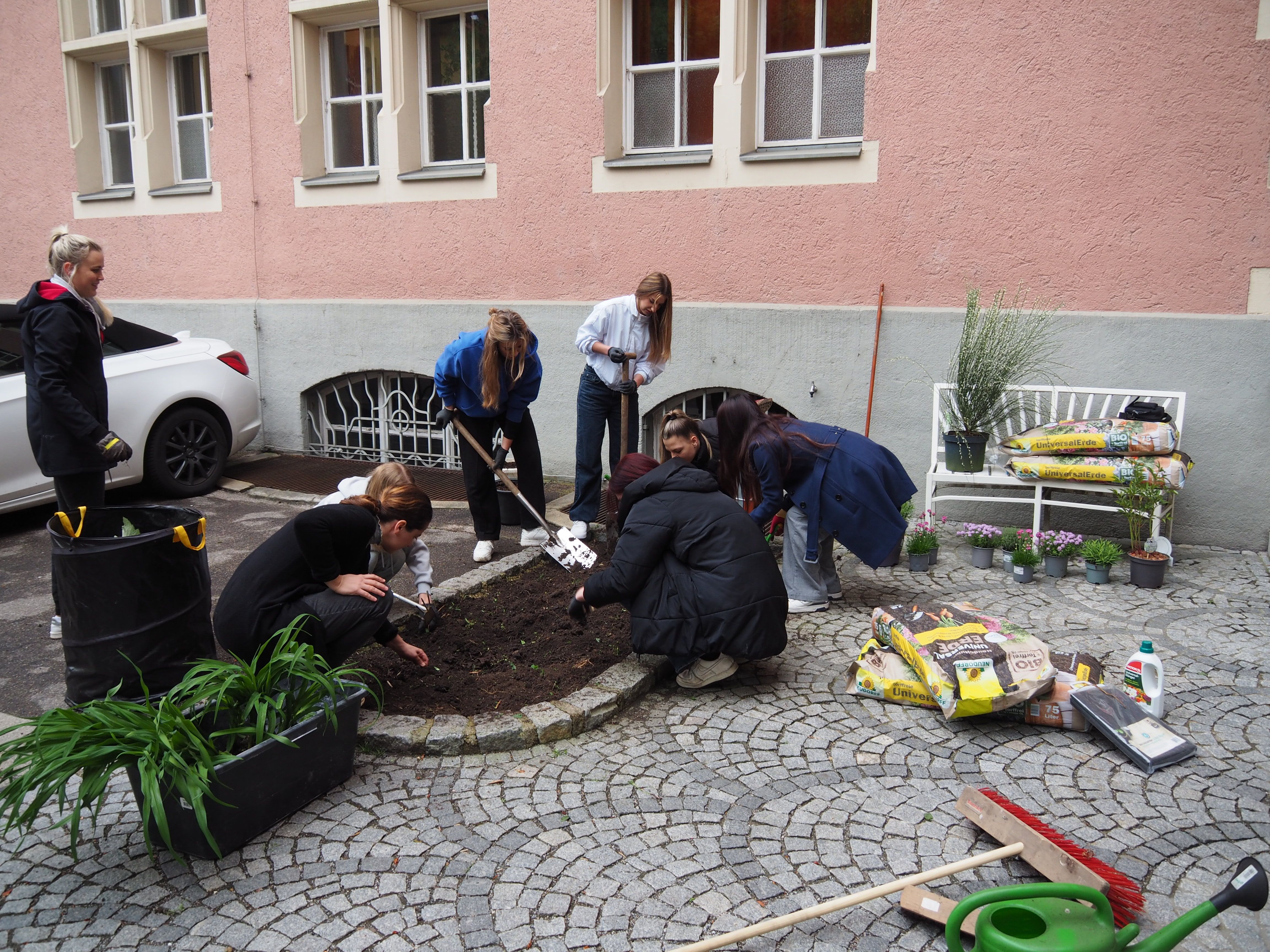 Blumenbeet4