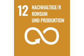 Nachhaltigkeit - Ziel 12 - Nachhaltige/r Konsum und Produktion