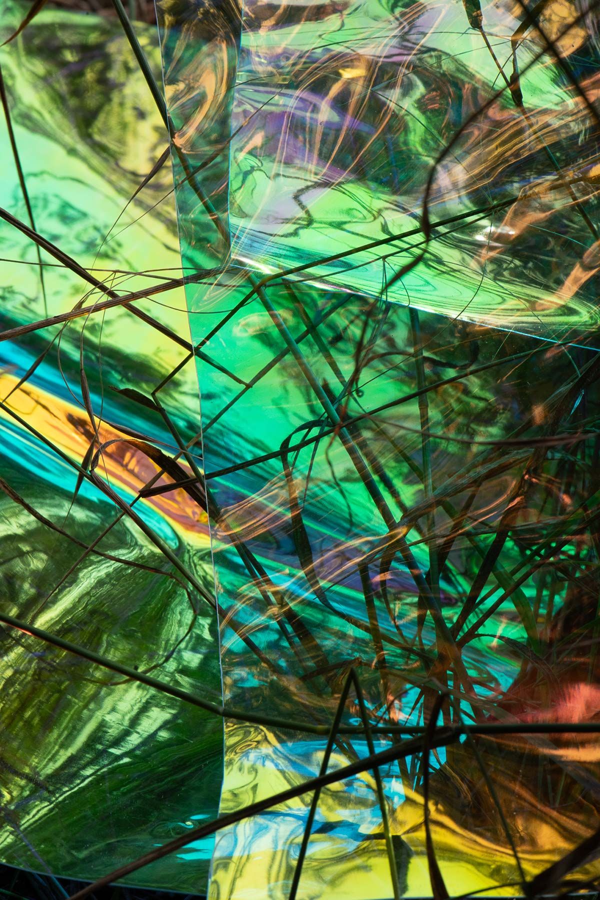 Fotografie – Arkadia