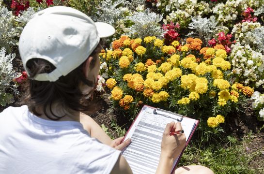 Fotografie: Eine Frau sitzt mit einem Klemmbrett vor einem Blumenbeet.