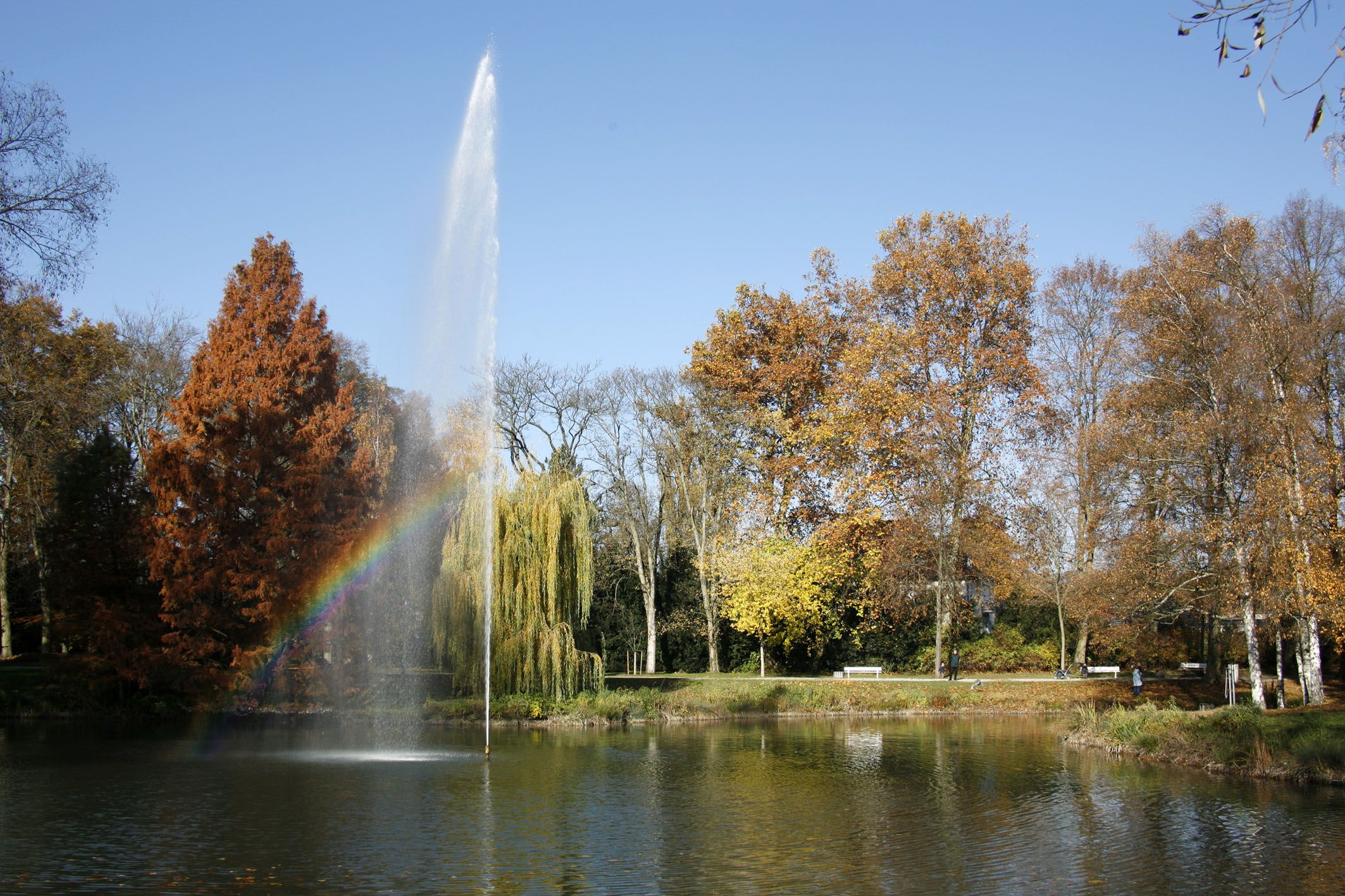 Fotografie: Stadtpark