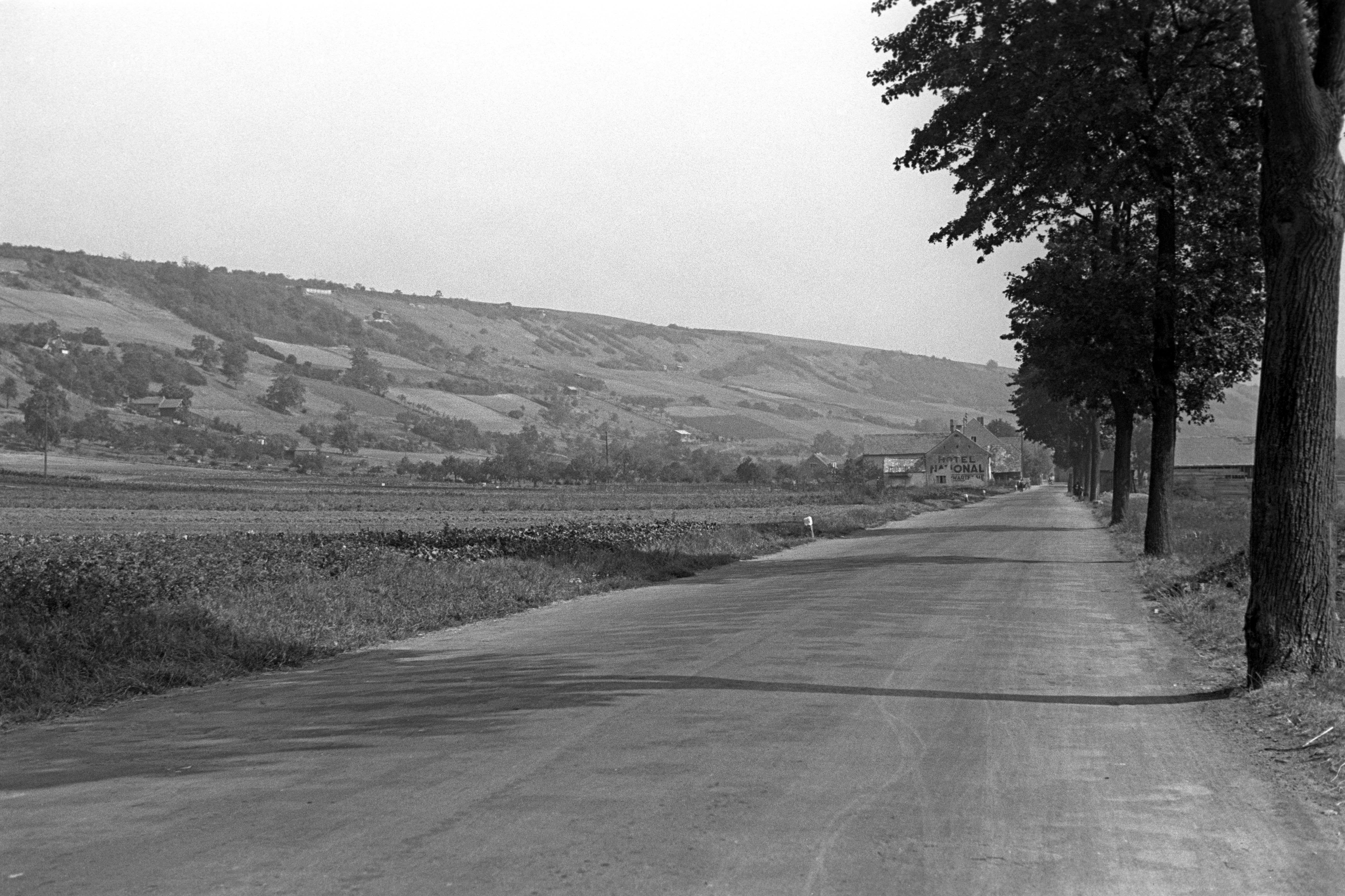 Fotografie: Winzerer Höhe / Nürnberger Straße / Winzer 1947