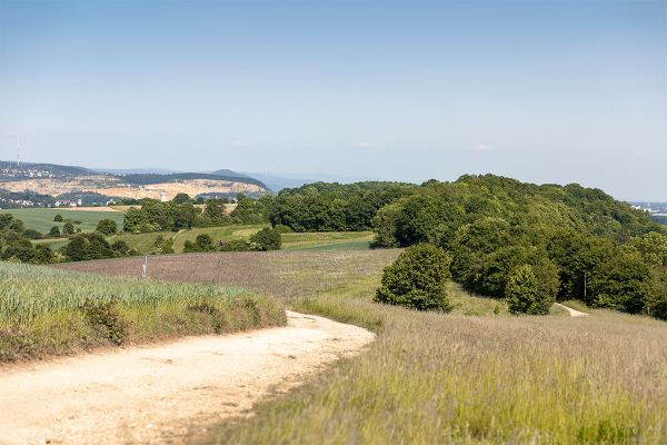 Fotografie - Wanderweg
