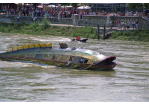 Fotografie: Als Waller gestaltetes Boot auf der Donau