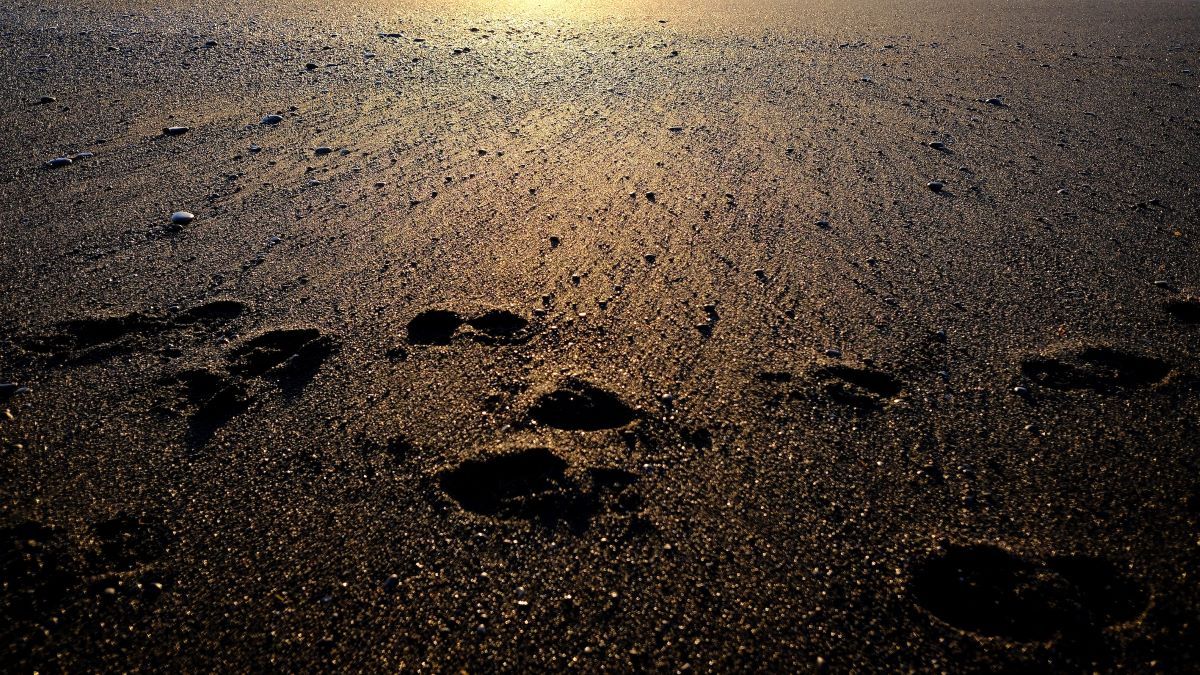 Grafik: Verwehte Spuren auf Sand