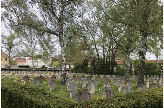 Fotografie - Oberer Katholischer Friedhof, Kriegsgräberstätte