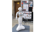 Fotografie: Android Charlie  (C) Bilddokumentation Stadt Regensburg