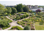 Fotografie: Der botanische Garten der Universität 