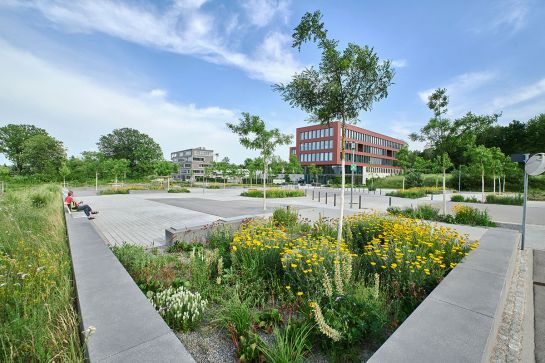 Architekturpreis 2019 - TechCampus Regensburg - Foto Blick auf das Areal