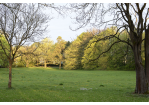 Fotografie: Weitblick im Tempe-Park