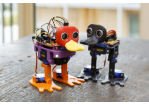 Foto des Monats – September 2021: Dürfen wir vorstellen: Die RoboDucks! In den Mint Labs im RUBINA werden sie für den Einstieg in die Roboterprogrammierung eingesetzt. Entwickelt wurden sie von der Uni Regensburg. (C) Bilddokumentation Stadt Regensburg
