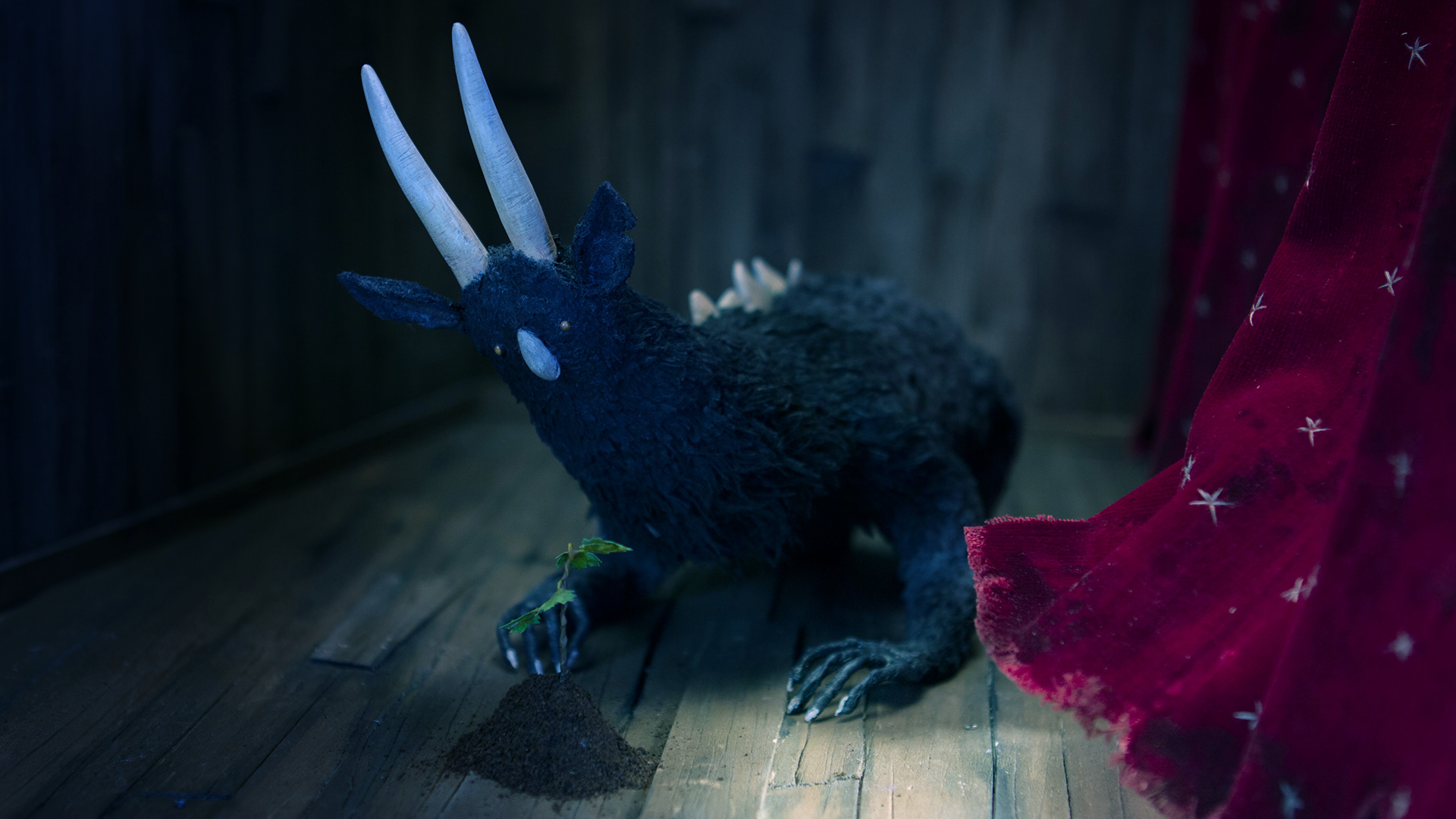 Fotografie – das schüchterne, einsame Wesen - eine Zusammensetzung aus vielen verschiedenen Tieren