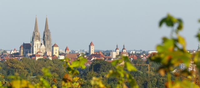 Fotografie - Blick von Winzer auf die Stadt