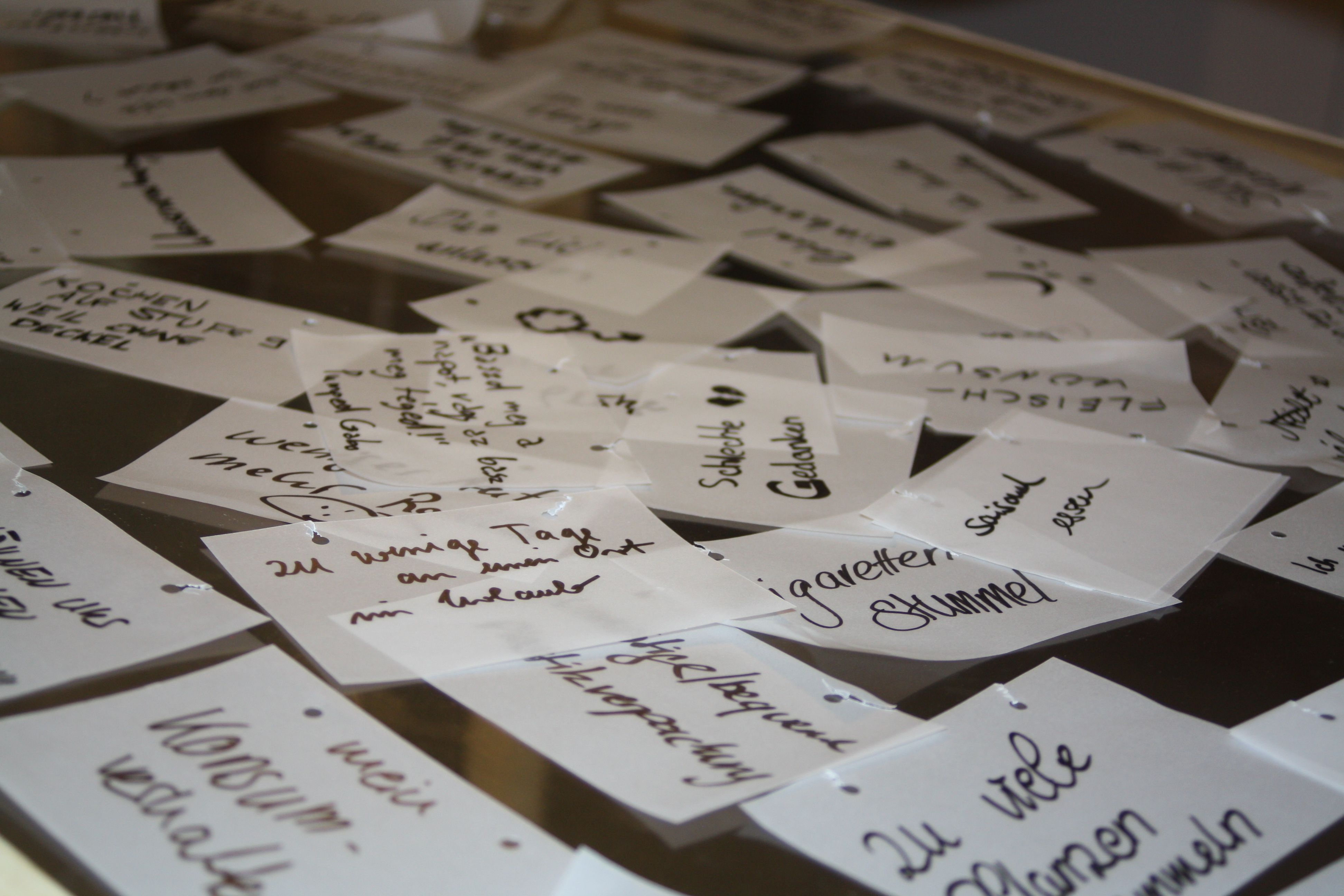 Ausstellung_BZW_FokusSteinstadt_Daniel23